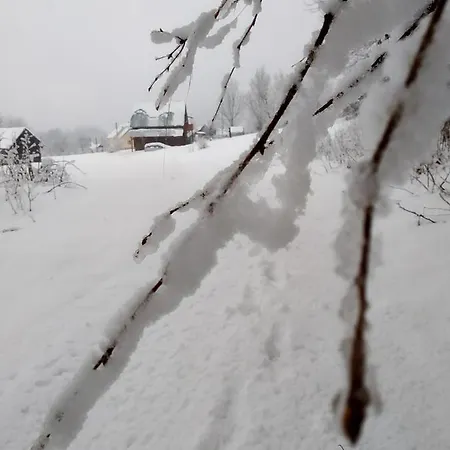 закарпатский сруб Krasna (Transcarpathia)