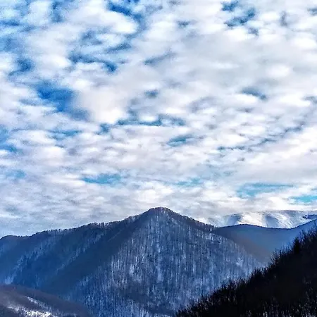 закарпатский сруб Hébergement de vacances