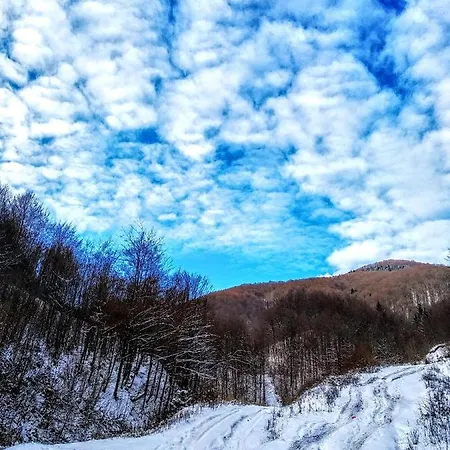 закарпатский сруб Holiday home