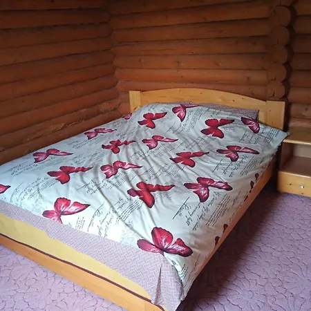 Hébergement de vacances закарпатский сруб *