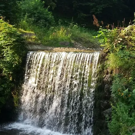 закарпатский сруб