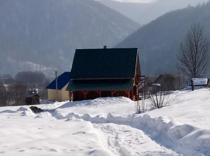 закарпатский сруб 度假居 *