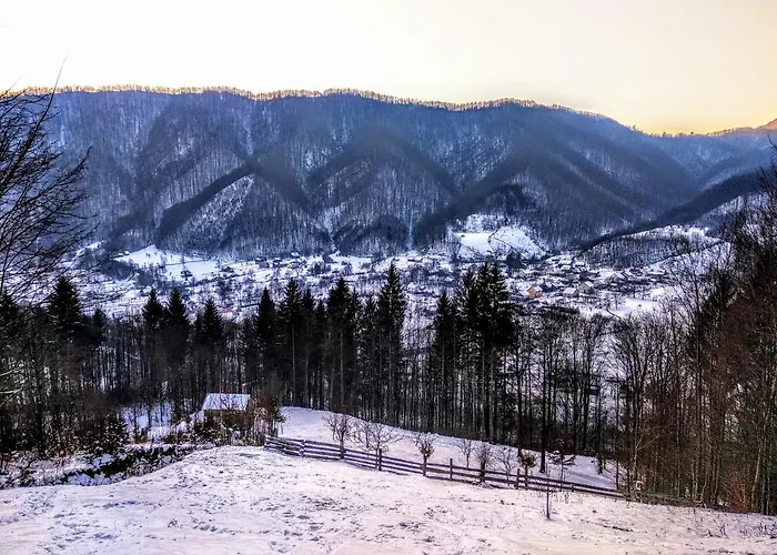 закарпатский сруб * Krasna (Transcarpathia)