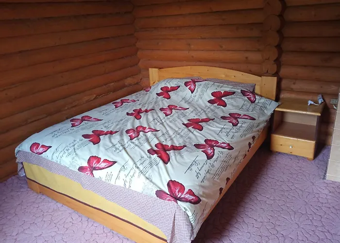 度假居 закарпатский сруб *